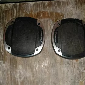 пионер сеткас