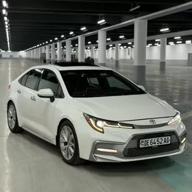 Toyota Corolla 2020