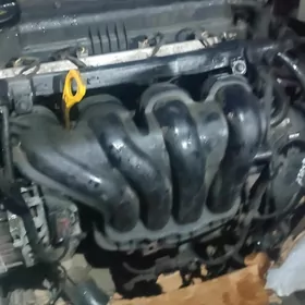 Hyundai Elantra matory