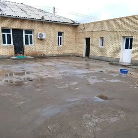 satlyk jay bayramaly taze yol