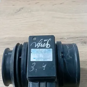 Runner 1998 wozduhamer