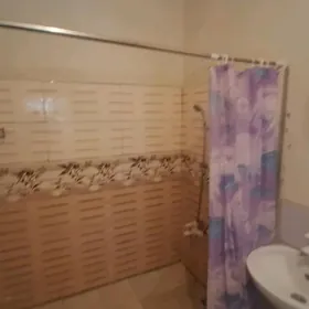 Anew kireýine aýratyn otag