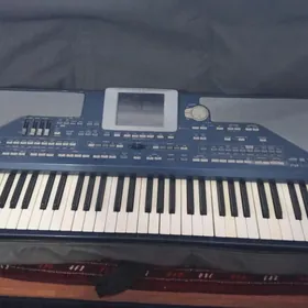 korg pa800