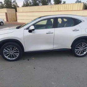 Lexus NX 350 2024