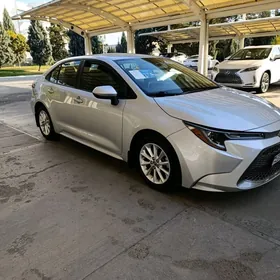Toyota Corolla 2020
