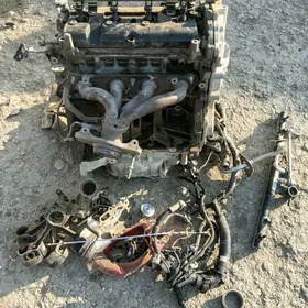 Нисан. верса. матор