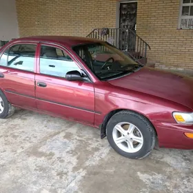 Toyota Corolla 1995