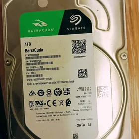 Segate 4tb wincestr 100%