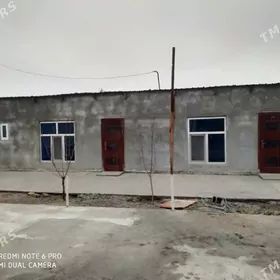 buzmeyin kruk arenda