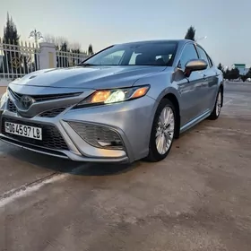 Toyota Camry 2020