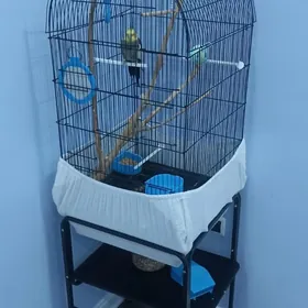 Клетка для попугаев