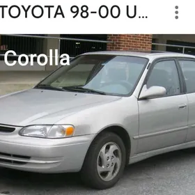 Tilki karola difuzor