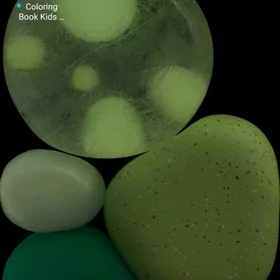 redmi not pro 12 5 g