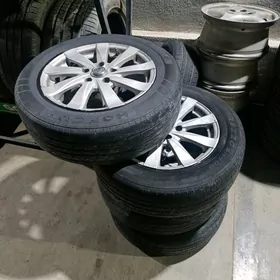 diska 16 lyk pakryşgasy bilen