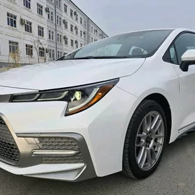 Toyota Corolla 2021