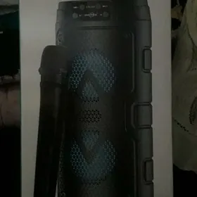 Калонка с микрофоном