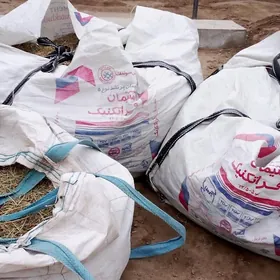 ÝORUNJAŇ PÜRI ,PADYBOR PAGTALY