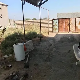 Anew Geolog Daca/Аннау