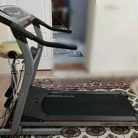 Begovaya dorojka Беговая дорож