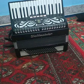 Akkordeon Weltmeyister