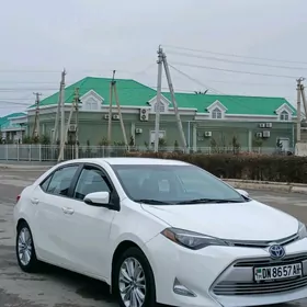 Toyota Corolla 2017