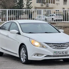 Hyundai Sonata 2010
