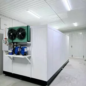 uly marazilnik we holadinik