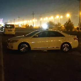 Okuz kelle Diska Teker R17