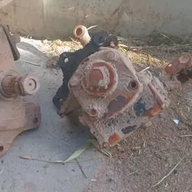 Donuz kelĺe Relawoy