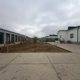 Taze Zaman 12sotyk PlanJay