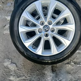 17. Diska  pakyryska