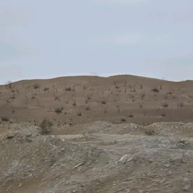 yangalada 12 sotak yer