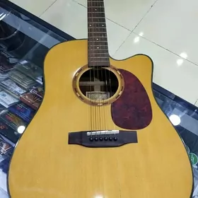 Ersda akustik gitara