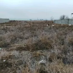 Gókdepe satlyk ýer 12 sot