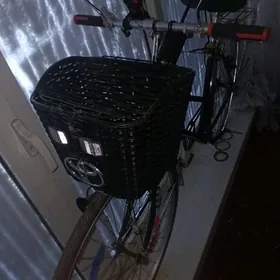 qeWelsoped heley rama