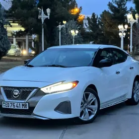 Nissan Maxima 2019