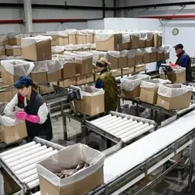 Zawoda gaplayjy oglan