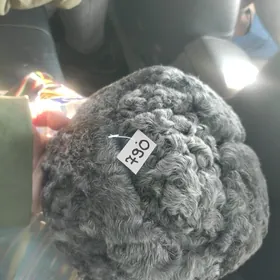 Bagana owganskiy ýüñli taze