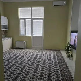 Arenda Padwoyski elitka 