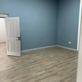 Arenda ofis Gribaýet köçe