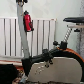 oyde ulanylyan welik