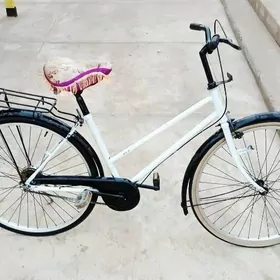 tigir 26lyk ỳopoşga