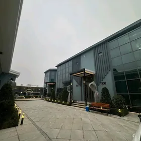 Kone Gami Lux Koteź