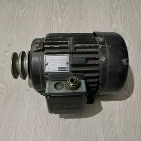 stanok mator dwigitel