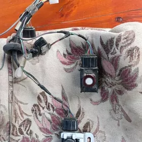 парктроник