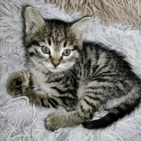 Малышка 1мес