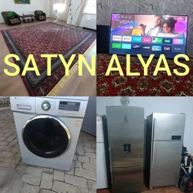 SATYN ALYAS