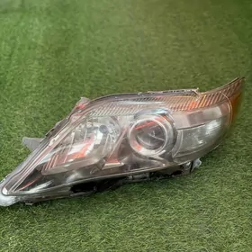 okuz kelle s clasynky depo