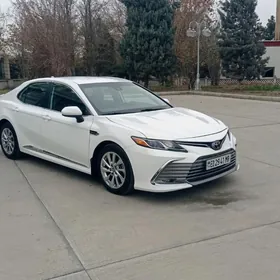 Toyota Camry 2022