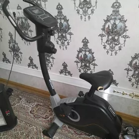 welotrenažor, tigir